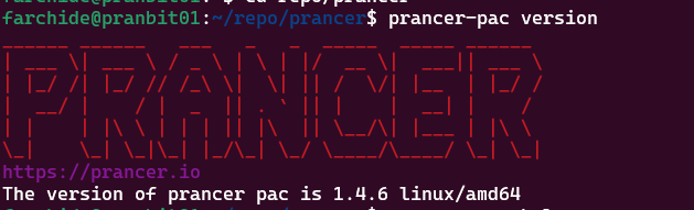 Network Pentesting — Prancer Tutorial