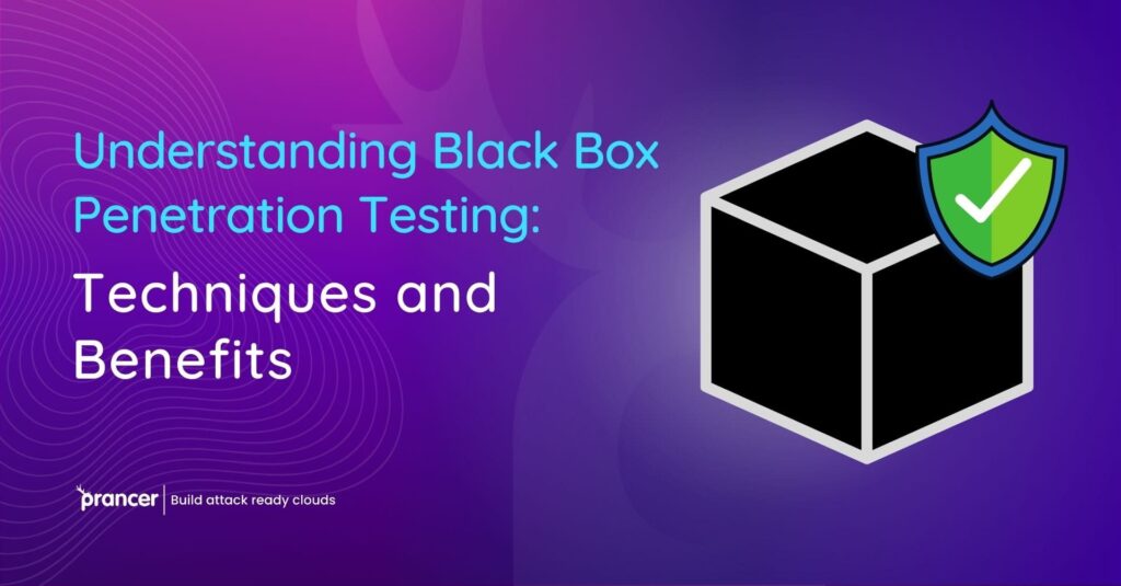 Black Box Penetration Testing