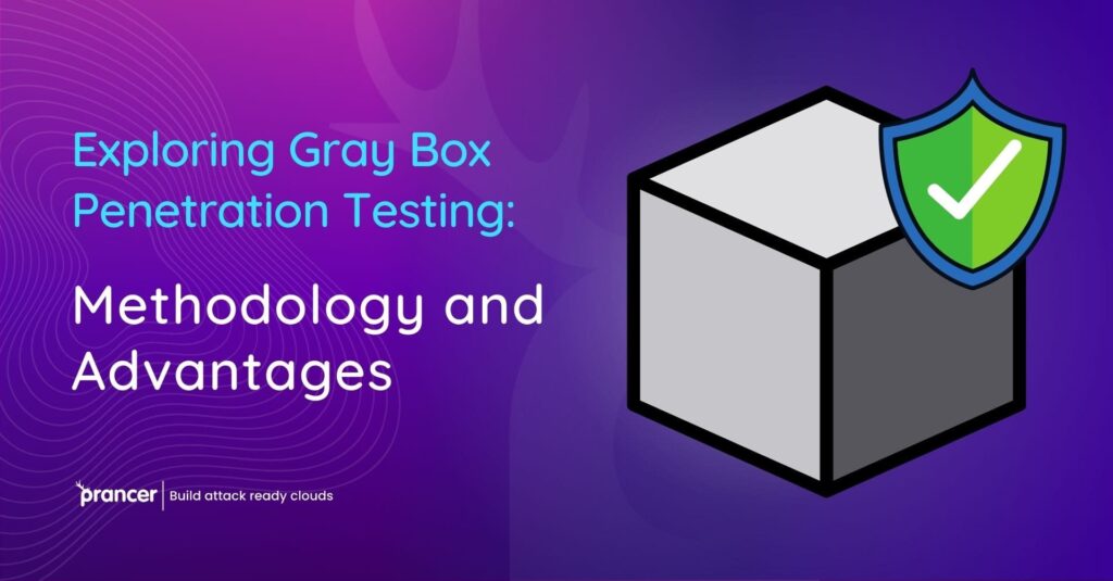 Gray Box Penetration Testing