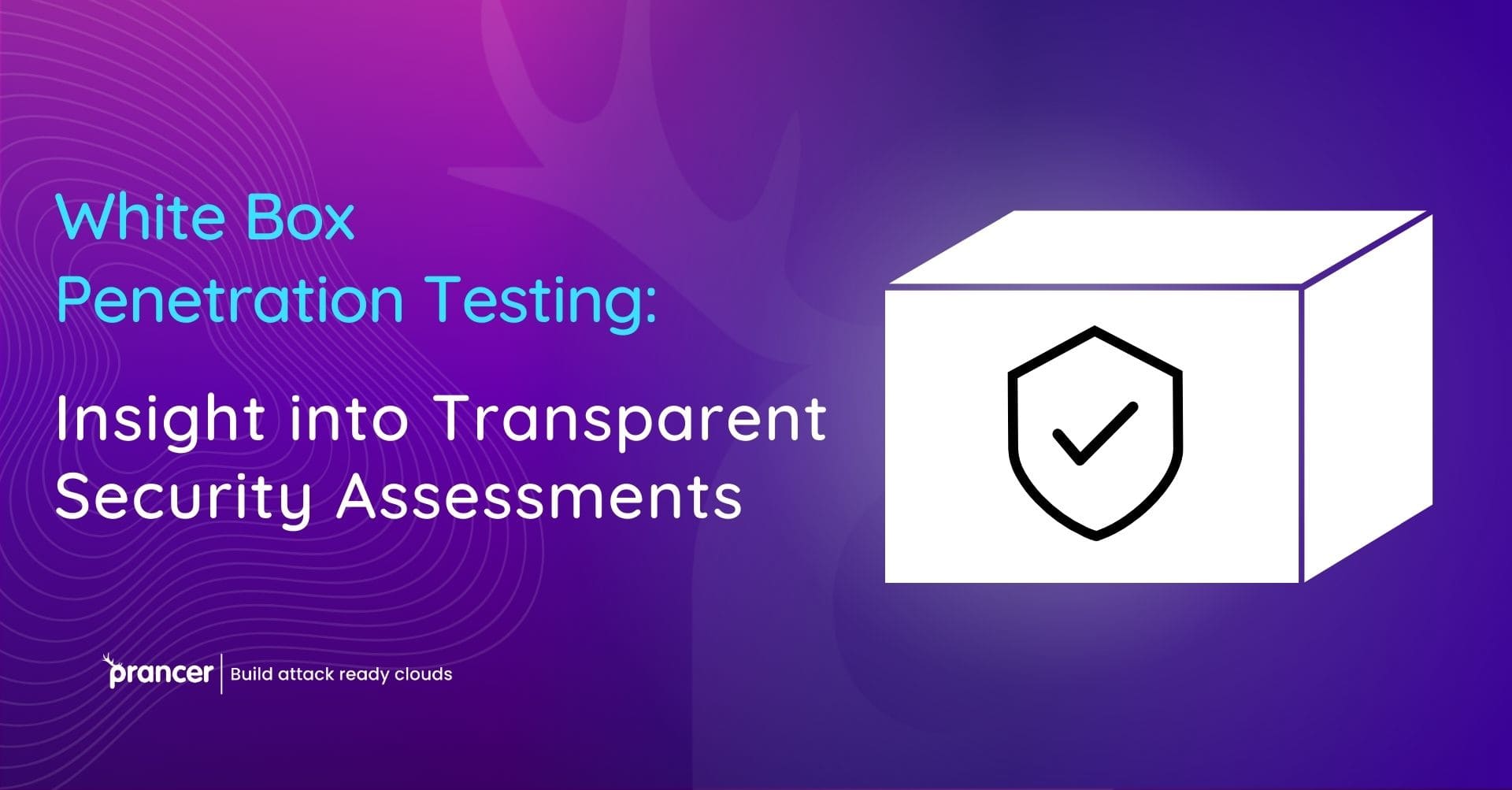 white box penetration testing